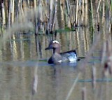 arta, Sunnana naturreservat